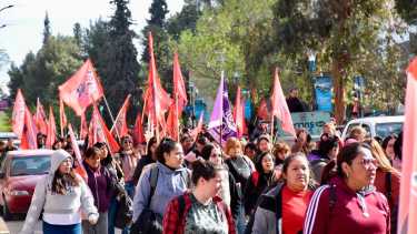 Manifestantes se reunirán en el Monumento a San Martín de Neuquén, en solidaridad con el pueblo Palestino. (Matías Subat)