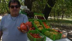Comparten las ofertas de carne y verduras para combatir la inflación en Roca