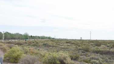 Los terrenos se encuentran al norte de calle Evita y Ruta 6. Los propietarios ya pagaron pero todavía no los pueden ocupar. foto: Juan Thomes.
