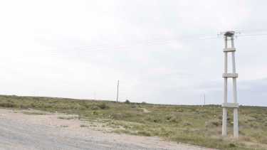 Terrenos en polémica en Roca, ubicados en cercanías a Ruta 6. Foto: Juan Thomes