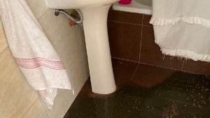 Inmobiliaria de Viedma deberá resarcir a un inquilino por inundaciones cloacales y olores