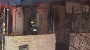 Triste: murió un perro en el incendio de una vivienda, en Neuquén