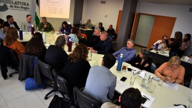 El dictamen del expediente salió por mayoría, a partir de los votos de JSRN y sus aliados de Unidad Ciudadana y del Frente Renovador. foto Marcelo Ochoa.