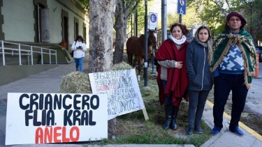 El reclamo de Ernesto Kral en la Casa de Gobierno de Neuquén. Foto: Matías Subat. 