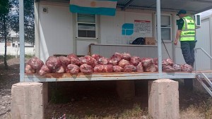Llevaba más de 450 kilos de carne en una camioneta: los escondió de una forma insólita, en Catriel