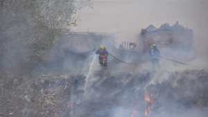 Nueve incendios en dos días: arduo trabajo de Bomberos Roca por el temporal de viento