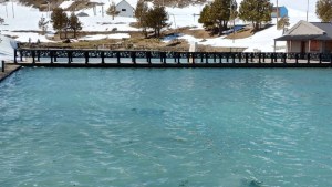 Termas de Copahue: contaron el secreto de cómo «sanar con lo natural» en la FIT