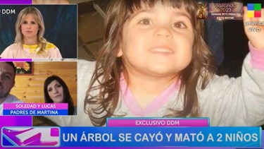 Video | Duro relato del papá de uno de los niños que murió aplastado por un árbol, en el parque Lanín
