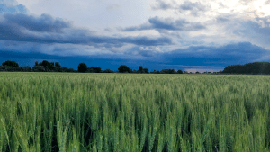 Conesa: las expectativas del intendente con la gestión provincial a partir de diciembre próximo