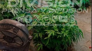 Por una denuncia anónima desbaratan banda narco que vendía droga en Neuquén