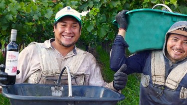 Productores de la Bodega La Riojana. Foto: Facebook Comercio Justo.