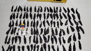 Cayó la «banda de las hermanas»: vendían cocaína en Cutral Co y Plaza Huincul