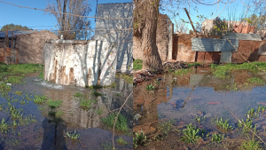 Denuncia que la planta de agua potable se desborda y está arruinando su casa, en Roca