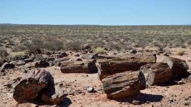 El lugar fue reconocido como Patrimonio de la provincia por la Legislatura. Foto: Archivo Matias Subat