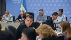 Diputados dio dictamen a la ley de GNL: qué dijeron los legisladores de Neuquén