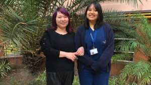 Más de 300 personas por año reciben atención médica en su idioma natal y con respeto a sus costumbres