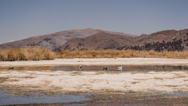 Así está lago que es parte de la frontera entre Bolivia y Perú.