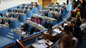 Por mayoría, la Legislatura de Río Negro aprobó Letras y descubiertos bancarios para el 2024