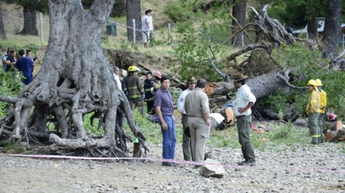 La tragedia ocurrió el 1 de enero de 2016 en el camping Lolen, situado en el Parque Nacional Lanín. Foto archivo. 