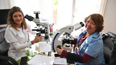 María Marta López Raffo y Laura Morresi analizan las muestras que llegan desde distintas ciudades del Alto Valle. foto: Alejandro Carnevale.