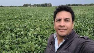 Soja en Conesa: cómo hizo este productor para liderar un récord con superplantas