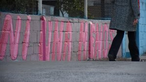 Neuquén comenzará a tratar el proyecto de declaración de Emergencia en Violencia de Género