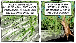 «El sauce y el río», la nueva tira de Chelo Candia
