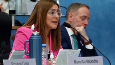 Marcela Avila defendió el proyecto en el recinto. Foto: Marcelo Ochoa.