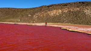 VIDEO | ¿Fenómeno natural o misterio bíblico?: por qué el río Nilo se tiñó de rojo