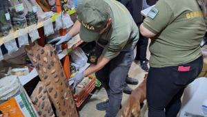 Secuestran piezas arqueológicas en El Bolsón que se ofrecían en Facebook a un millón de pesos