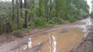 Lluvia en el Alto Valle: estudiantes no pudieron asistir a las escuelas por el estado de las calles