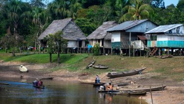 Expedición Amazonas: la aventura del fotógrafo de la Patagonia y un maravilloso final en la selva
