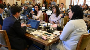 Bariloche no tendrá área protegida en Catedral. Foto: Chino Leiva