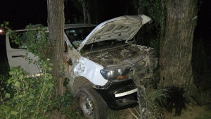 Murió un hombre que chocó contra un árbol, sobre la Ruta 7 en el Chañar: investigan las causas