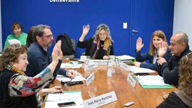 El cuerpo legislativo de Cipolletti volvió a sesionar hoy. (Florencia Salto