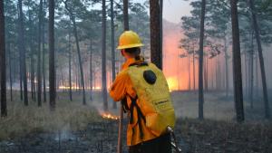 Qué es más efectivo para prevenir incendios de vegetación en Patagonia 