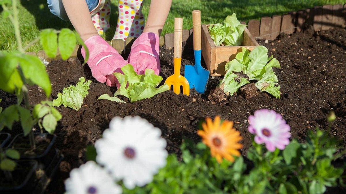 La jardinería es una actividad que ayuda a canalizar el estrés.-
