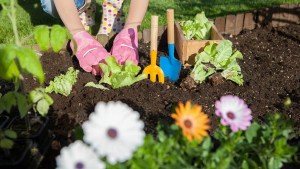 Cinco herramientas clave para el cuidado de tu jardín, esta primavera