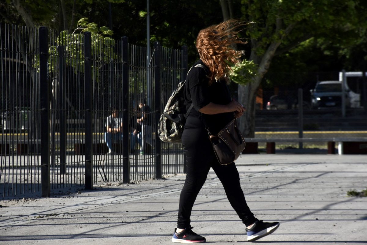 Se esperan fuertes vientos y ráfagas este lunes en Neuquén.  (FOTO: Matías Subat)