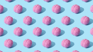 El cerebro humano no busca la verdad: una explicación científica a por qué mentimos