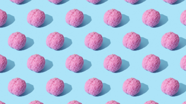 El cerebro humano no busca la verdad: una explicación científica a por qué mentimos