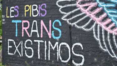 Este mural está ubicado en Pehuenia Cultural, en el oeste de la ciudad. Foto Florencia Salto.