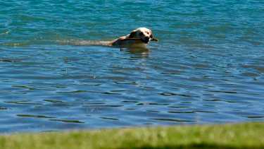 Aumentan los caudales de los ríos Limay y Neuquén, por el alto consumo de energía en Buenos Aires. Foto: Matías Subat