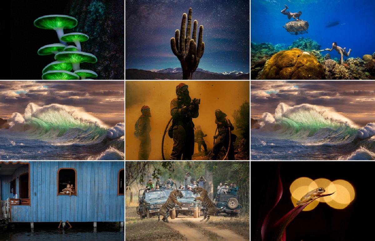 Ganadores del The Nature Conservancy Photo Contest 2023.