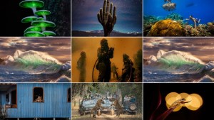 Nueve fotografías ganadoras del 2023 sobre conservación de la naturaleza