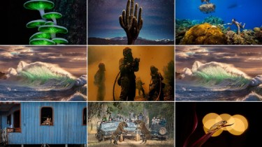 Ganadores del The Nature Conservancy Photo Contest 2023.