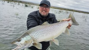«¡Mirá lo que es esta trucha, no lo puedo creer!»: Así pescó una gran marrón en el Limay Medio