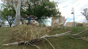 Alerta por fuertes vientos: varios barrios de Roca se quedaron sin luz