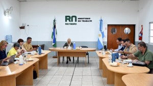 Paritarias en Río Negro: qué oferta salarial les presentó el Gobierno a los gremios estatales