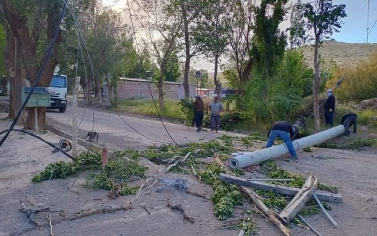 Postes y árboles caídos, la postal repetida en Neuquén. Foto: Gentileza. 